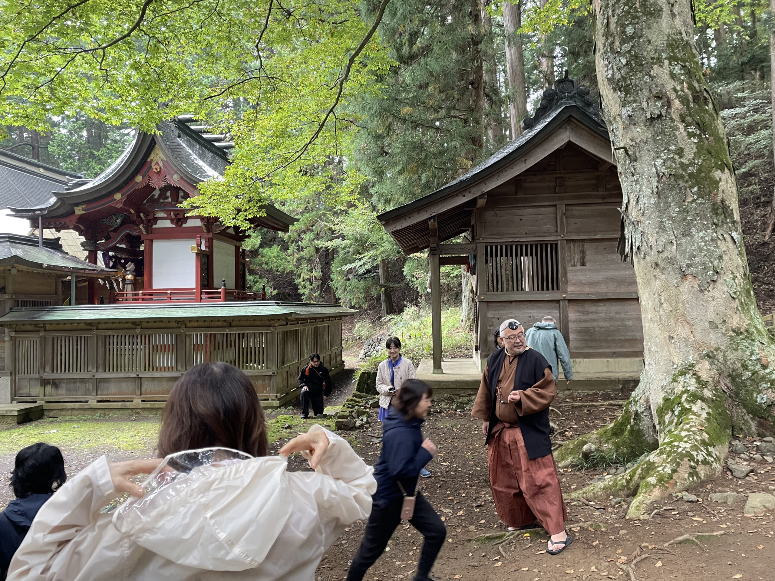 「ナンバ走り」によるパフォーマンス向上