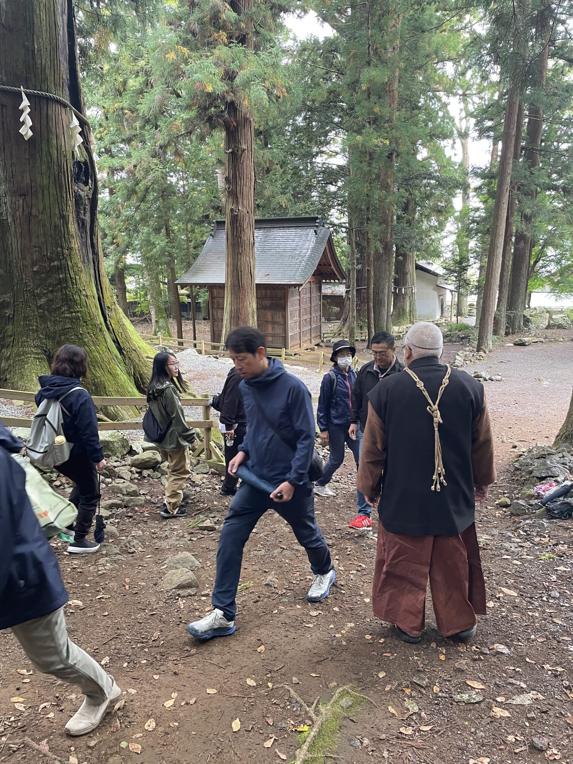 「ナンバ歩き」によるパフォーマンス向上